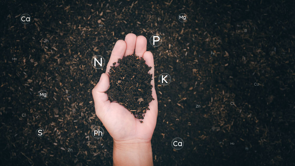 Engrais NPK comprendre la formule