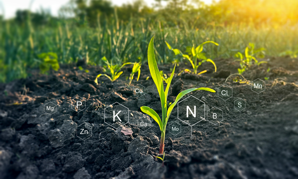 les-differents-types-engrais-et-leurs-bienfaits-en-agriculture