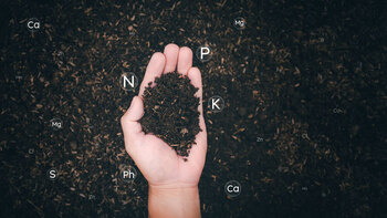 Engrais NPK comprendre la formule